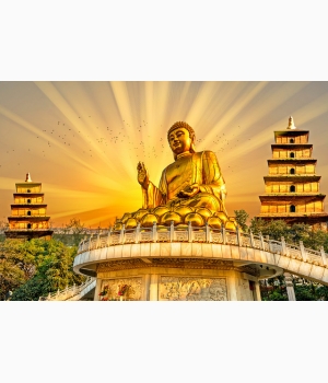 hình phật a di đà đẹp