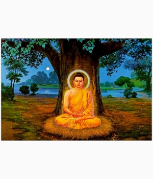 Hình Phật Ngồi Dưới Cây Bồ Đề Đẹp
