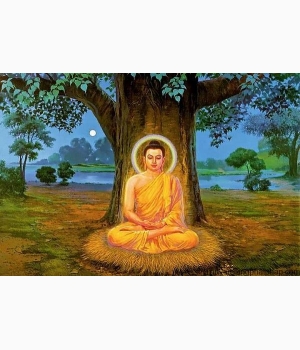 Hình Phật Ngồi Dưới Cây Bồ Đề Đẹp