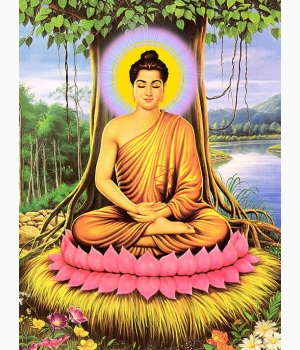 Hình Phật Ngồi Dưới Cây Bồ Đề Đẹp