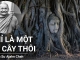 Chỉ Là Một Cội Cây - Thiền Sư Ajahn Chah